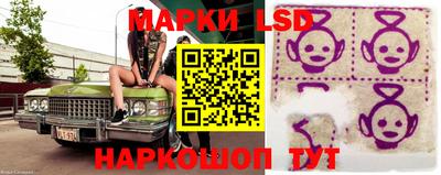 стаф Славгород