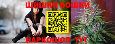 стаф Славгород