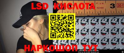 стаф Славгород