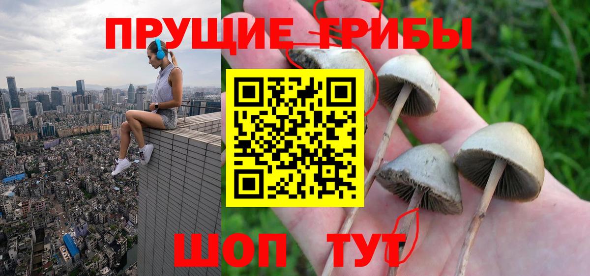 Галлюциногенные грибы Magic Shrooms  Галлюциногенные грибы GOLDEN TEACHER  Вход с VPN  Печора 