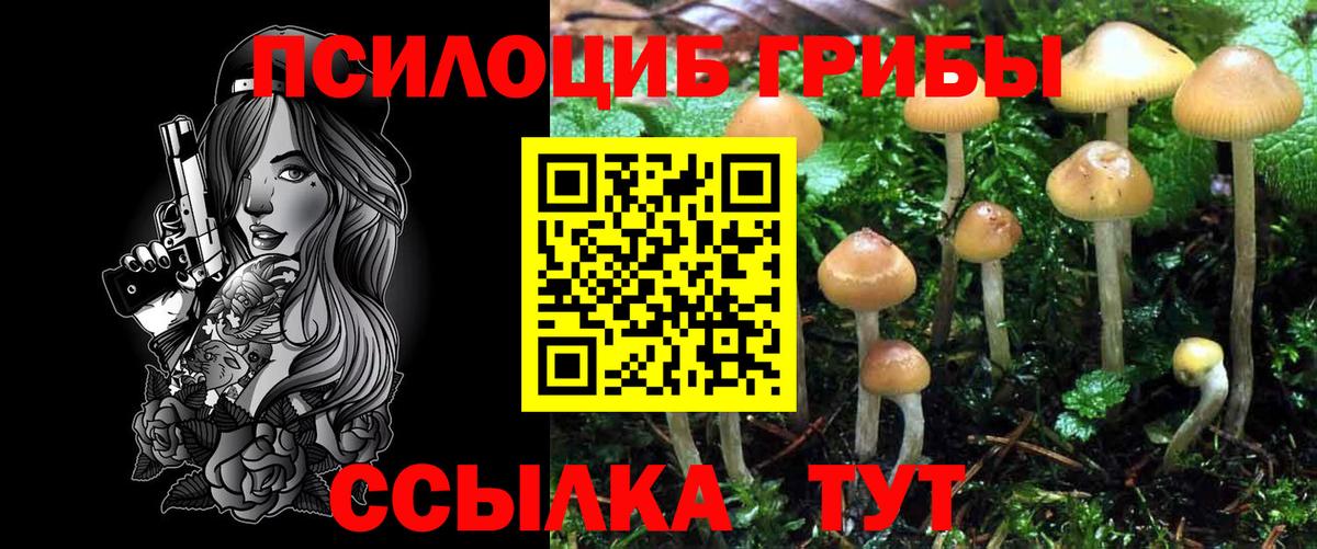 Псилоцибиновые грибы Magic Shrooms Печора